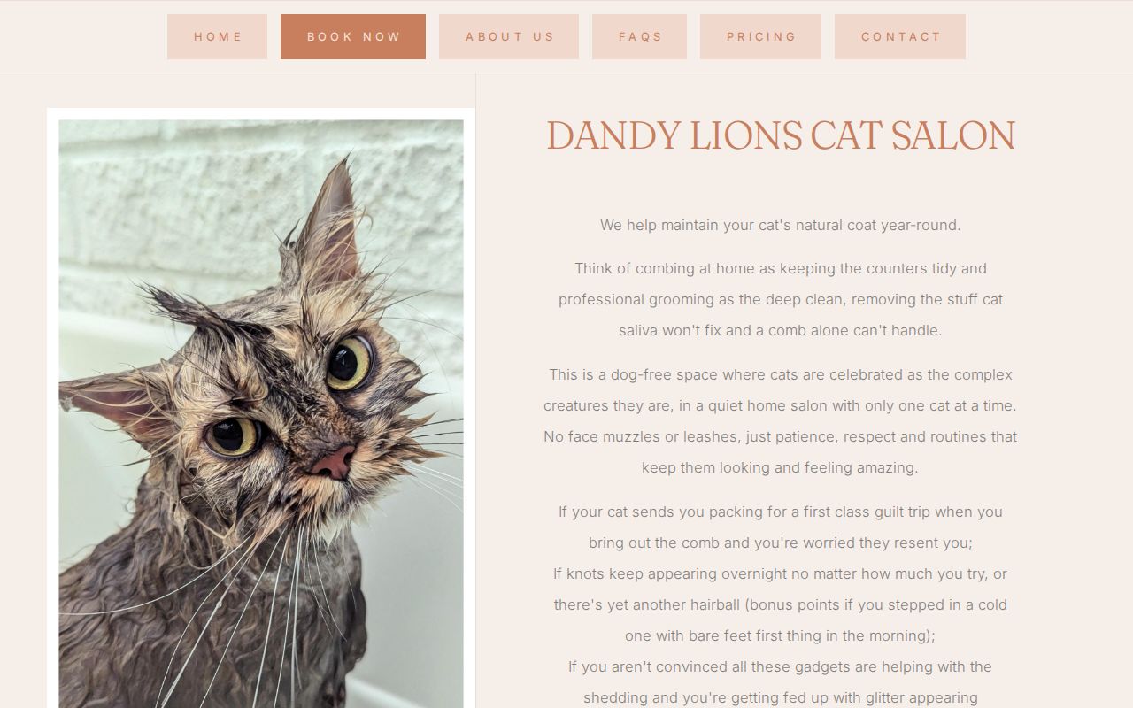 Dandy Lions Cat Salon